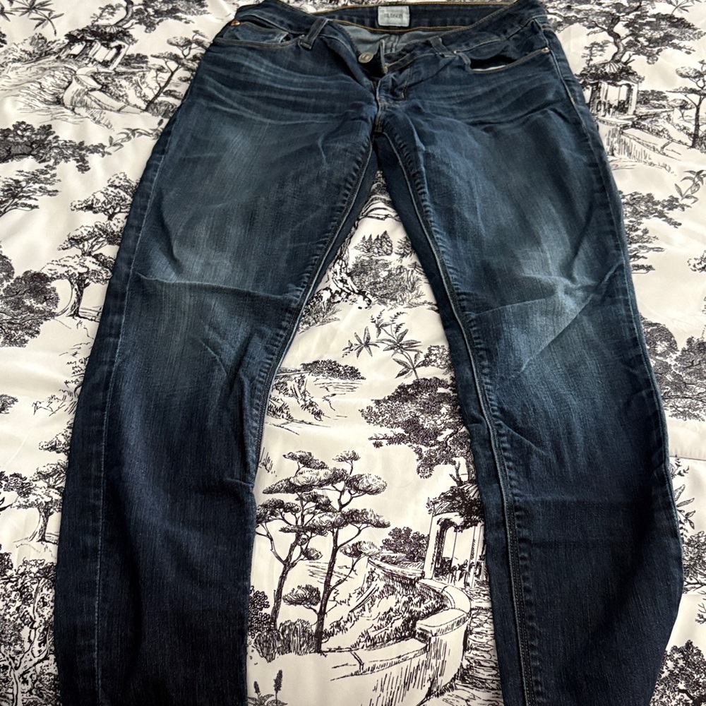Hudson Jeans Dark Blue Women's Jeans